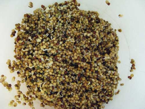 After the first 24 hours