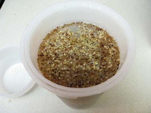 Removing the hulls from sprouts