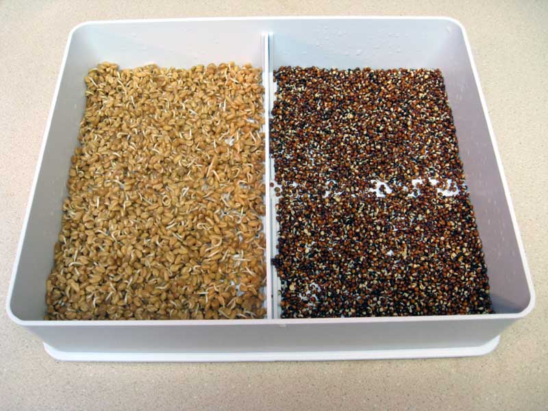 After the first 24 hours